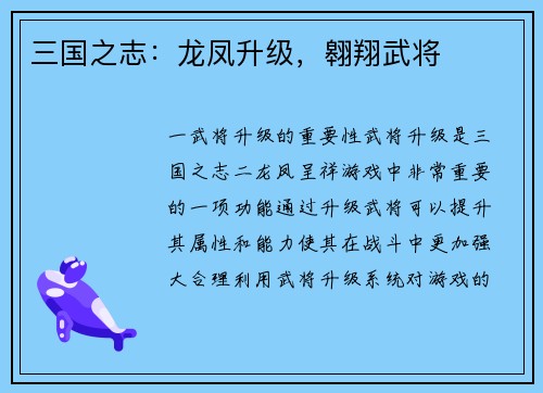 三国之志：龙凤升级，翱翔武将